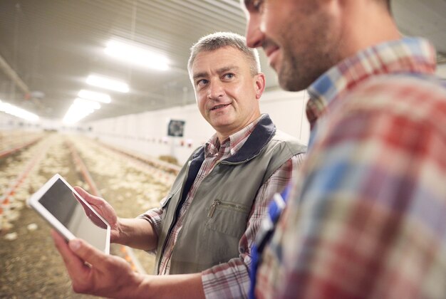 Enhancing Poultry Well-being and Productivity Through Innovative Environmental Adjustments